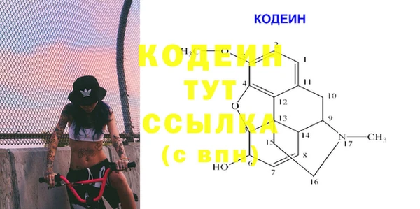 стафф Иннополис
