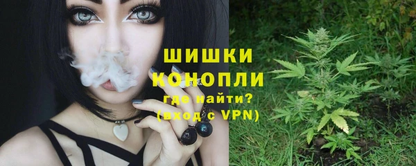 гашик Алзамай