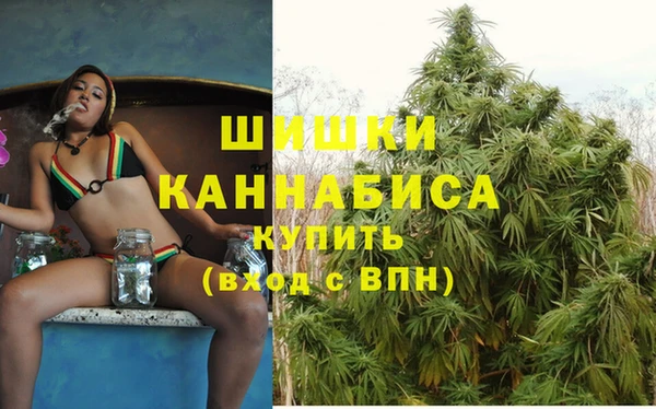 гашик Алзамай