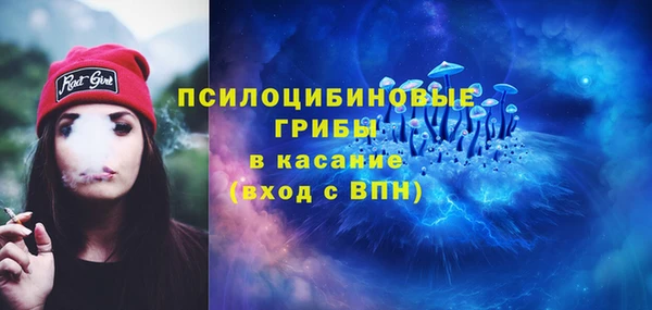 гашик Алзамай