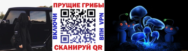 Галлюциногенные грибы GOLDEN TEACHER kraken как войти Котельники